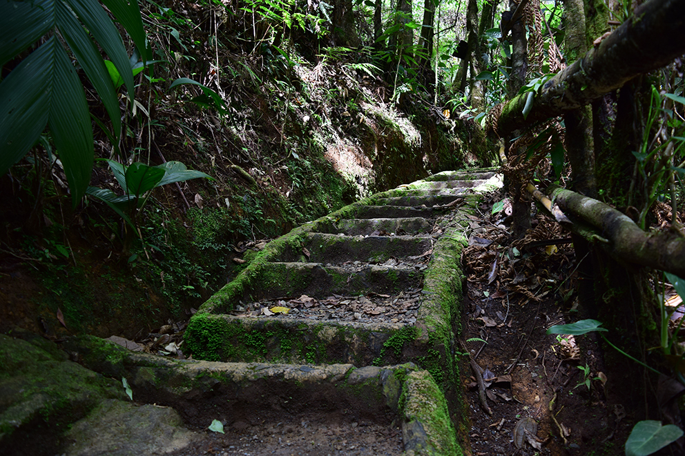 Biotopo para la conservación del quetzal