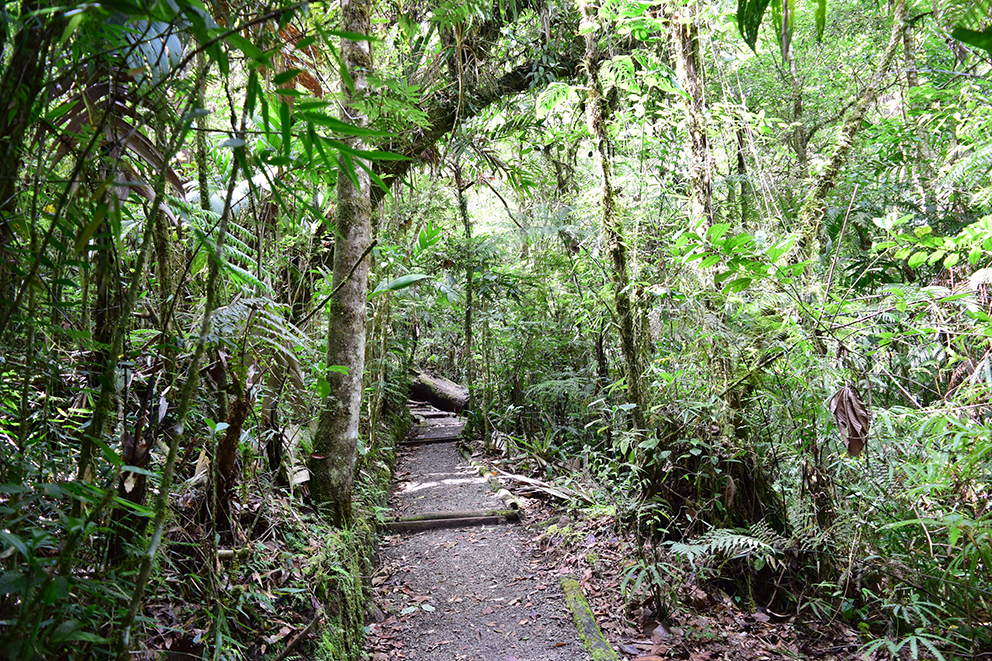 Biotopo para la conservación del quetzal